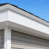 Full fascia replacement